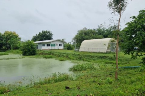 Land in Ubon Ratchathani, Thailand 54400 sq.m. № 136002 - photo 3