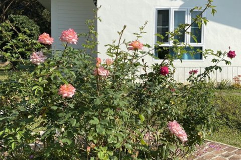 House in Chiang Mai, Thailand 3 bedrooms № 157224 - photo 21