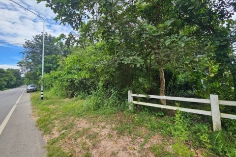 Terrain à Maha Sarakham, Thaïlande 11100 m2 № 173377 - photo 2