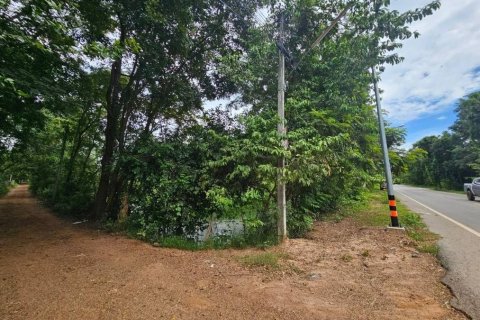 Terrain à Maha Sarakham, Thaïlande 11100 m2 № 173377 - photo 3