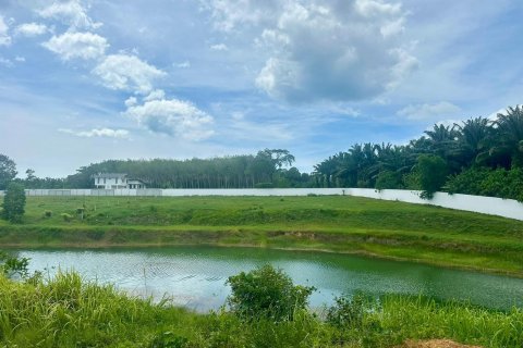 Земельный участок в Пхангнге, Таиланд 5518м2  № 144955 - фото 2