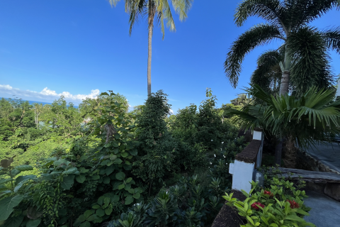 Земельный участок в Самуи, Таиланд 1600м2 № 136332 - фото 4