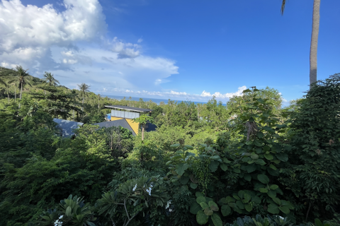 Земельный участок в Самуи, Таиланд 1600м2 № 136332 - фото 5