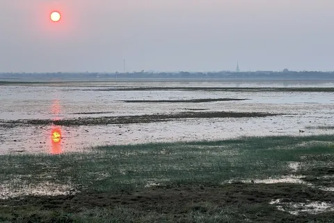 Земельный участок в Сурине, Таиланд 23224м2  № 142736 - фото 5