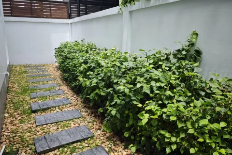 House in Bueng Kum, Bangkok, Thailand 3 bedrooms № 158523 - photo 26