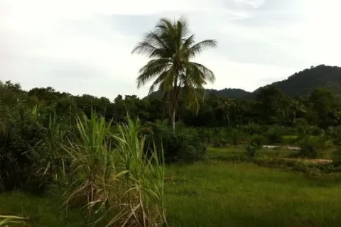 Земельный участок в Паклоке, Таиланд 1688.8м2  № 138615 - фото 4