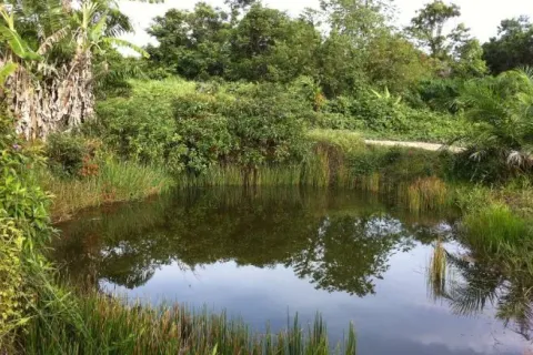 Земельный участок в Паклоке, Таиланд 1688.8м2  № 138615 - фото 7