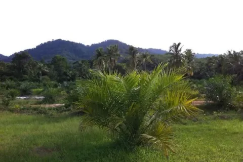 Земельный участок в Паклоке, Таиланд 1688.8м2  № 138615 - фото 5