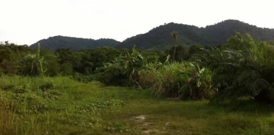 Земельный участок в Паклоке, Таиланд 1688.8м2  № 138615