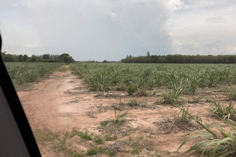 Land in Tha Muang, Thailand 119512 sq.m. № 159042