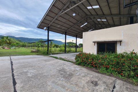 Земельный участок в Самуи, Таиланд 18704м2  № 153201 - фото 13