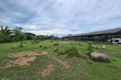 Земельный участок в Самуи, Таиланд 18704м2  № 153201 - фото 4