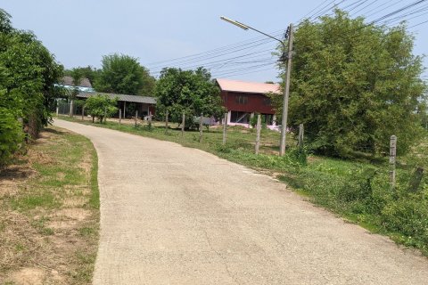 Terrain à Phitsanulok, Thaïlande 6112 m2 № 153561 - photo 1