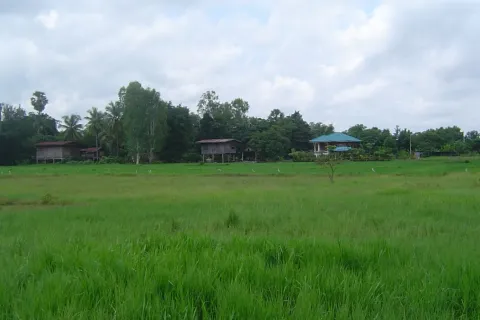 Terrain à Phitsanulok, Thaïlande 6112 m2 № 153561