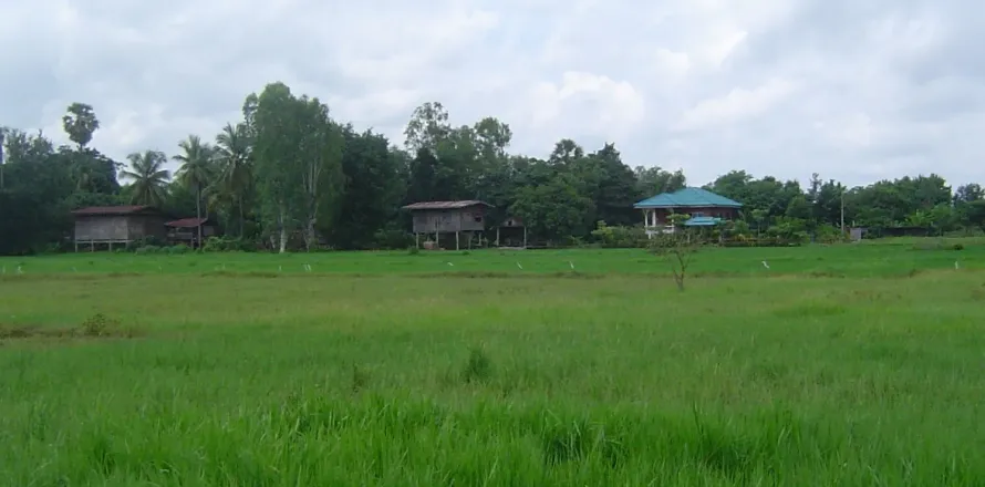 Terrain à Phitsanulok, Thaïlande 6112 m2 № 153561