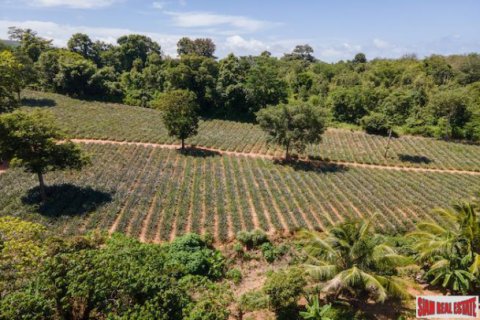 Terrain à Mai Khao, Thaïlande 11200 m2 № 202526