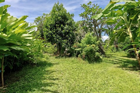 Villa in Chiang Mai, Thailand 7 bedrooms № 147823 - photo 26