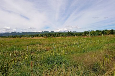 Terrain à Kanchanaburi, Thaïlande 40000 m2 № 152919 - photo 5