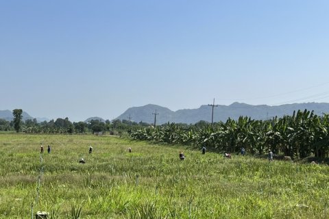 Terrain à Kanchanaburi, Thaïlande 40000 m2 № 152919 - photo 9