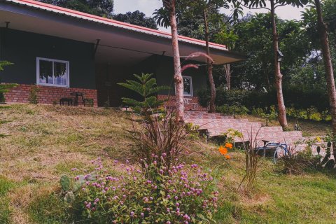 Hôtel à Nakhon Si Thammarat, Thaïlande № 150220 - photo 7