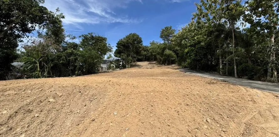 Land in Ko Samui, Thailand 480 sq.m. № 172265