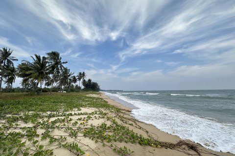 Земельный участок в Хуа Хине, Таиланд 4825м2  № 142418 - фото 4