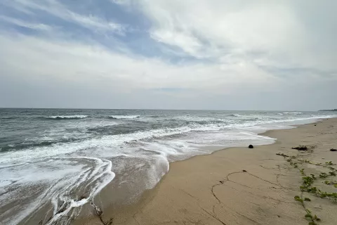 Земельный участок в Хуа Хине, Таиланд 4825м2  № 142418 - фото 6