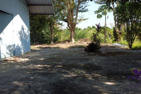 Maison à Chiang Mai, Thaïlande 5 chambres № 162572 - photo 18