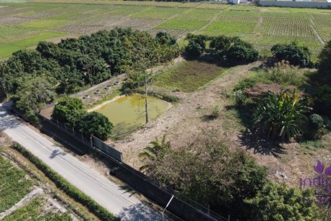 Maison à Chiang Mai, Thaïlande 5 chambres № 162572 - photo 4
