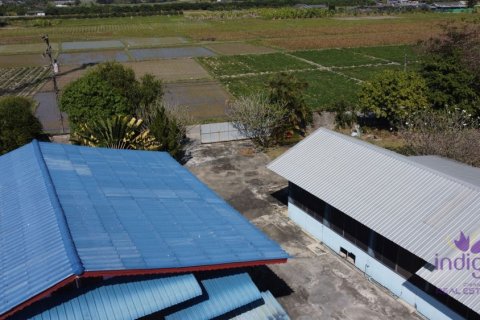 Maison à Chiang Mai, Thaïlande 5 chambres № 162572 - photo 21