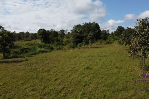 Земельный участок в Чиангмае, Таиланд  № 162569 - фото 9