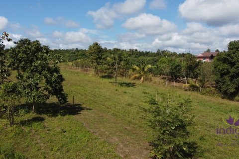 Земельный участок в Чиангмае, Таиланд  № 162569 - фото 8