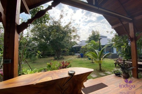 Земельный участок в Чиангмае, Таиланд 440м2  № 162570 - фото 26