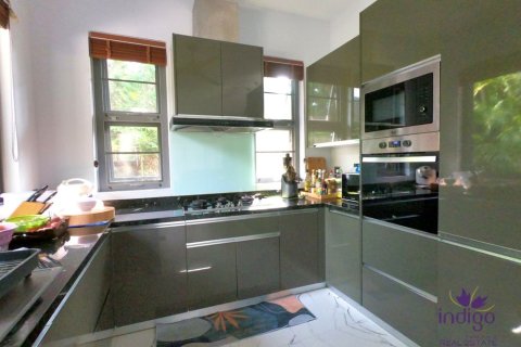 Земельный участок в Чиангмае, Таиланд 440м2  № 162570 - фото 2