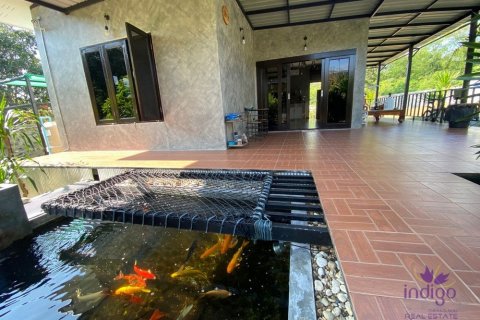 Земельный участок в Чиангмае, Таиланд  № 162567 - фото 27