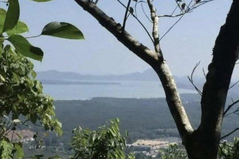 Terrain à Pa Klok, Thaïlande 68800 m2 № 147565 - photo 4