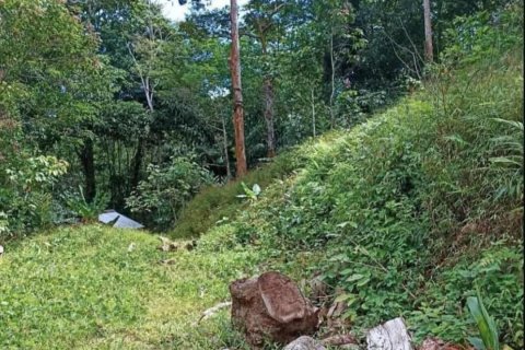 Terrain à Pa Klok, Thaïlande 68800 m2 № 147565 - photo 7