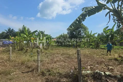 Terrain à Rawai, Thaïlande № 162711 - photo 2