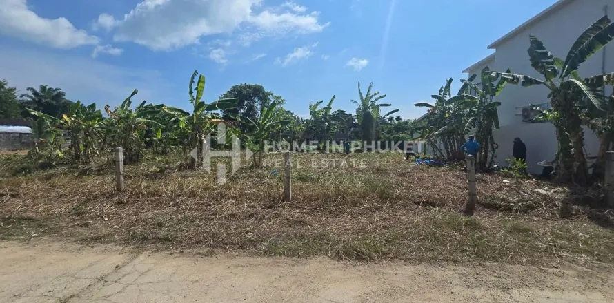 Terrain à Rawai, Thaïlande № 162711