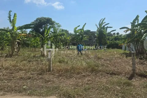 Terrain à Rawai, Thaïlande № 162711 - photo 3