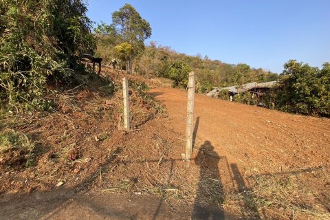 Terrain à Mae Rim, Thaïlande 10741.6 m2 № 149342 - photo 2