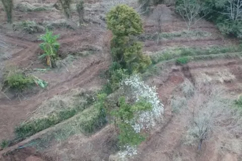 Terrain à Mae Rim, Thaïlande 10741.6 m2 № 149342 - photo 4