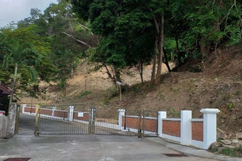 Земельный участок в Пхукете, Таиланд 8000м2  № 149345 - фото 9