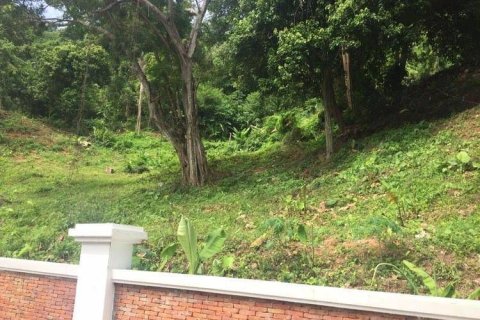 Земельный участок в Пхукете, Таиланд 8000м2  № 149345 - фото 5