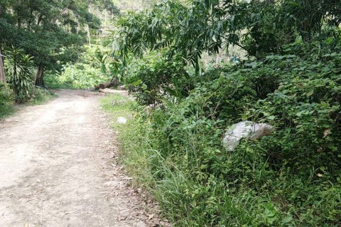 Land in Phuket, Thailand 19016 sq.m. № 160450 - photo 5