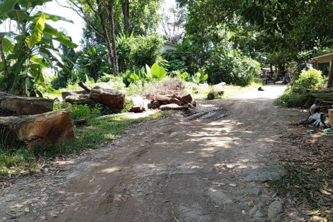 Land in Phuket, Thailand 19016 sq.m. № 160450 - photo 8