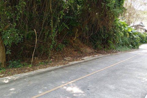Land in Phuket, Thailand 19016 sq.m. № 160450 - photo 4