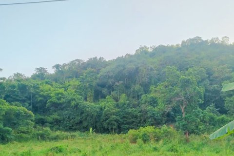 Земельный участок в Хуа Хине, Таиланд 912м2 № 157300 - фото 5