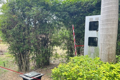 Terrain à Pa Klok, Thaïlande 1256 m2 № 161977 - photo 11