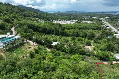 Terrain à Pa Klok, Thaïlande 1256 m2 № 161977 - photo 2